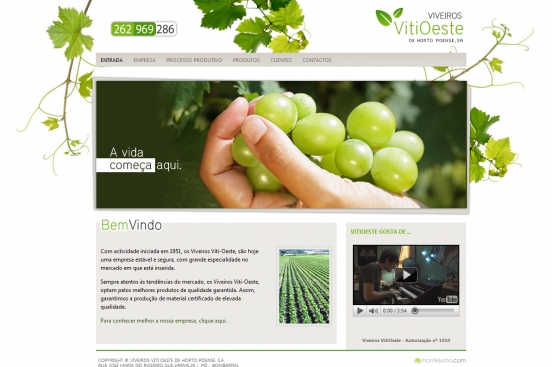 Viveiros Vitioeste