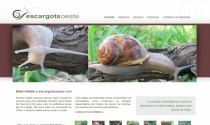 escargotsoeste.com